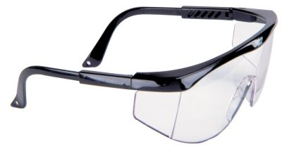 Sierra Protective Eyewear
